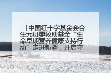 中国红十字基金会合生元母婴救助基金“生命早期营养健康支持行动”走进新疆，开启守护母婴新篇章！