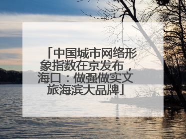 中国城市网络形象指数在京发布，海口：做强做实文旅海滨大品牌