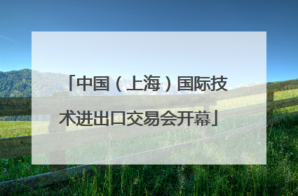 中国（上海）国际技术进出口交易会开幕