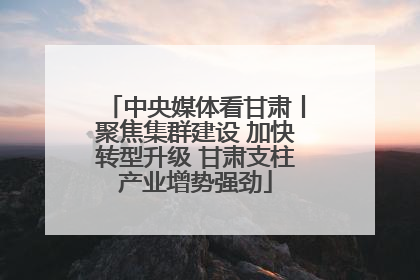 中央媒体看甘肃丨聚焦集群建设 加快转型升级 甘肃支柱产业增势强劲