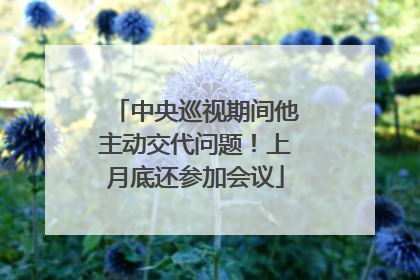 中央巡视期间他主动交代问题！上月底还参加会议