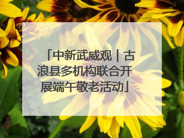 中新武威观｜古浪县多机构联合开展端午敬老活动