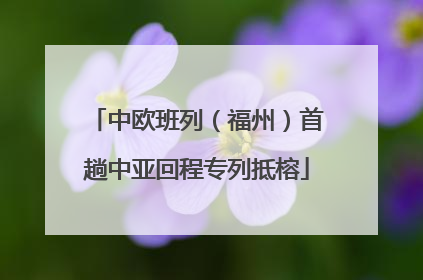 中欧班列（福州）首趟中亚回程专列抵榕
