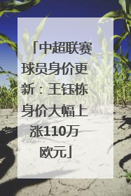 中超联赛球员身价更新：王钰栋身价大幅上涨110万欧元