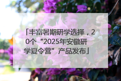丰富暑期研学选择，20个“2025年安徽研学夏令营”产品发布