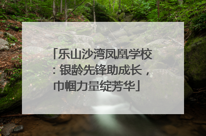 乐山沙湾凤凰学校：银龄先锋助成长，巾帼力量绽芳华
