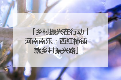 乡村振兴在行动丨河南南乐：西红柿铺就乡村振兴路
