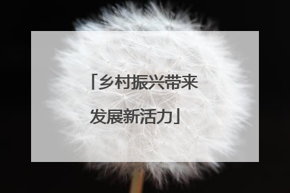 乡村振兴带来发展新活力