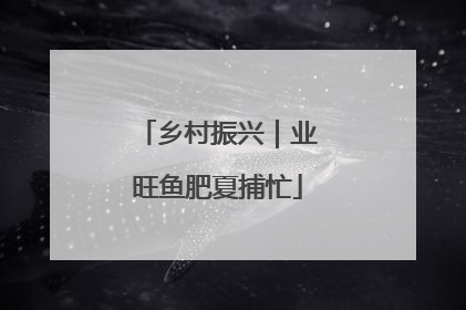 乡村振兴｜业旺鱼肥夏捕忙