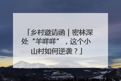 乡村邀请函｜密林深处“羊咩咩”，这个小山村如何逆袭？