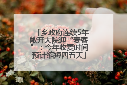 乡政府连续5年敞开大院迎“麦客”：今年收麦时间预计缩短四五天