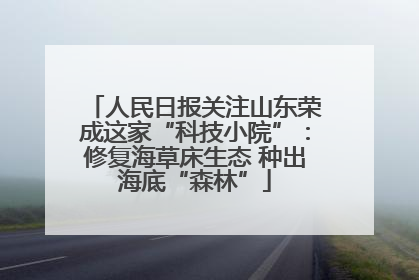 人民日报关注山东荣成这家“科技小院”：修复海草床生态 种出海底“森林”