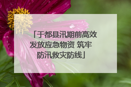 于都县汛期前高效发放应急物资 筑牢防汛救灾防线