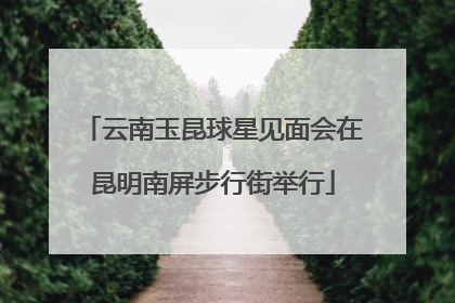 云南玉昆球星见面会在昆明南屏步行街举行