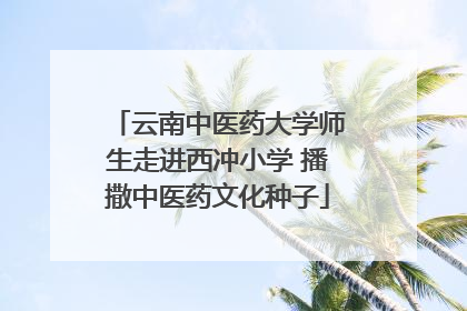 云南中医药大学师生走进西冲小学 播撒中医药文化种子