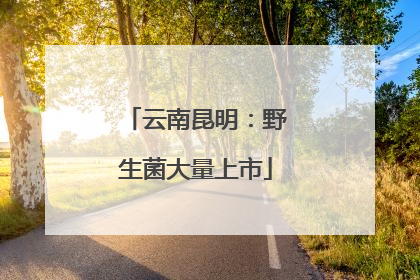 云南昆明：野生菌大量上市