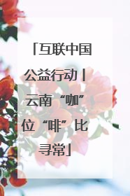 互联中国公益行动丨云南“咖”位“啡”比寻常