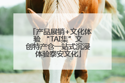 产品展销+文化体验 “TAI集”文创特产仓一站式沉浸体验泰安文化