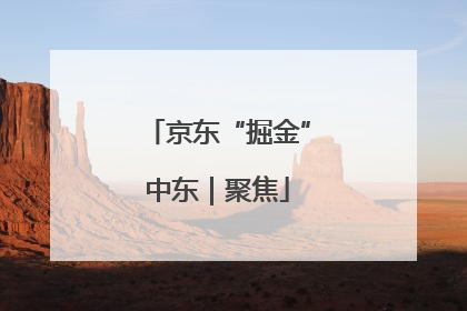 京东“掘金”中东｜聚焦