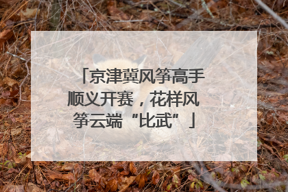 京津冀风筝高手顺义开赛，花样风筝云端“比武”