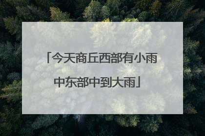 今天商丘西部有小雨 中东部中到大雨