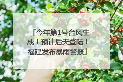 今年第1号台风生成！预计后天登陆！福建发布暴雨警报