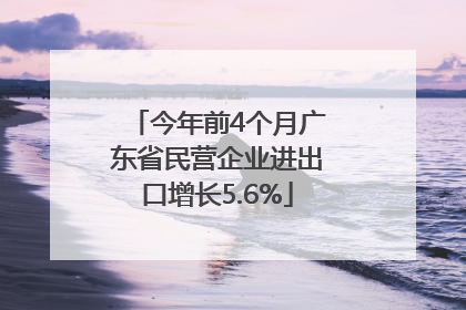 今年前4个月广东省民营企业进出口增长5.6%