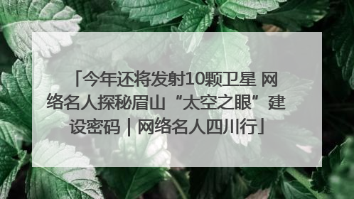 今年还将发射10颗卫星 网络名人探秘眉山“太空之眼”建设密码｜网络名人四川行
