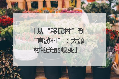 从“移民村”到“宜游村”：大源村的美丽蜕变
