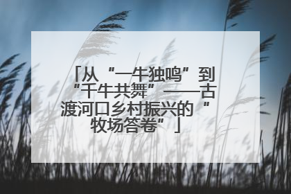 从“一牛独鸣”到“千牛共舞”——古渡河口乡村振兴的“牧场答卷”