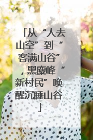 从“人去山空”到“客满山谷”，黑麋峰“新村民”唤醒沉睡山谷