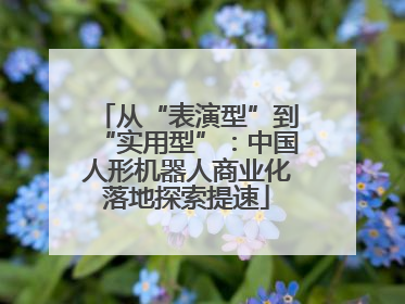 从“表演型”到“实用型”：中国人形机器人商业化落地探索提速