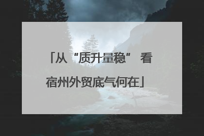 从“质升量稳” 看宿州外贸底气何在