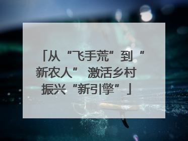 从“飞手荒”到“新农人” 激活乡村振兴“新引擎”