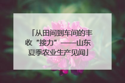 从田间到车间的丰收“接力”——山东夏季农业生产见闻
