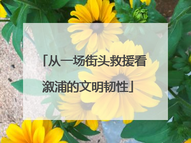 从一场街头救援看溆浦的文明韧性