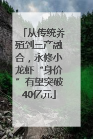 从传统养殖到三产融合，永修小龙虾“身价”有望突破40亿元