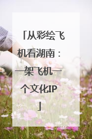 从彩绘飞机看湖南：一架飞机一个文化IP