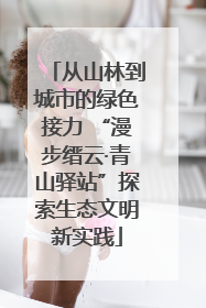 从山林到城市的绿色接力 “漫步缙云·青山驿站”探索生态文明新实践