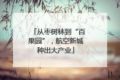 从枣树林到“百果园”，航空新城种出大产业