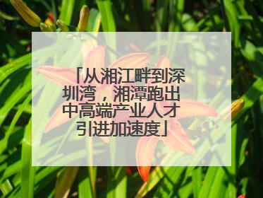 从湘江畔到深圳湾，湘潭跑出中高端产业人才引进加速度