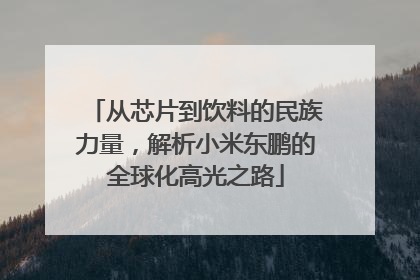 从芯片到饮料的民族力量，解析小米东鹏的全球化高光之路