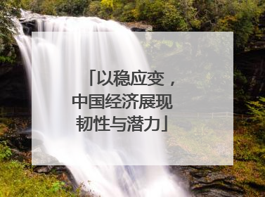以稳应变，中国经济展现韧性与潜力