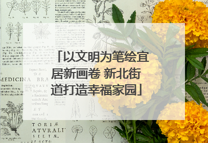 以文明为笔绘宜居新画卷 新北街道打造幸福家园