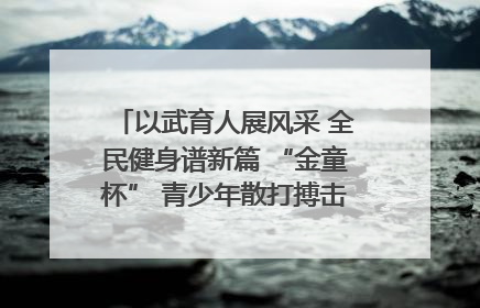 以武育人展风采 全民健身谱新篇 “金童杯” 青少年散打搏击邀请赛圆满落幕