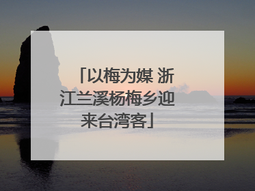 以梅为媒 浙江兰溪杨梅乡迎来台湾客