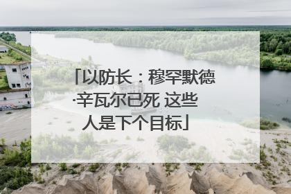 以防长：穆罕默德·辛瓦尔已死 这些人是下个目标