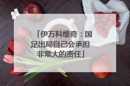 伊万科维奇：国足出局自己会承担非常大的责任