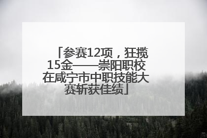 参赛12项，狂揽15金——崇阳职校在咸宁市中职技能大赛斩获佳绩