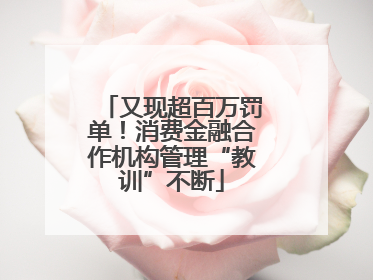 又现超百万罚单！消费金融合作机构管理“教训”不断
